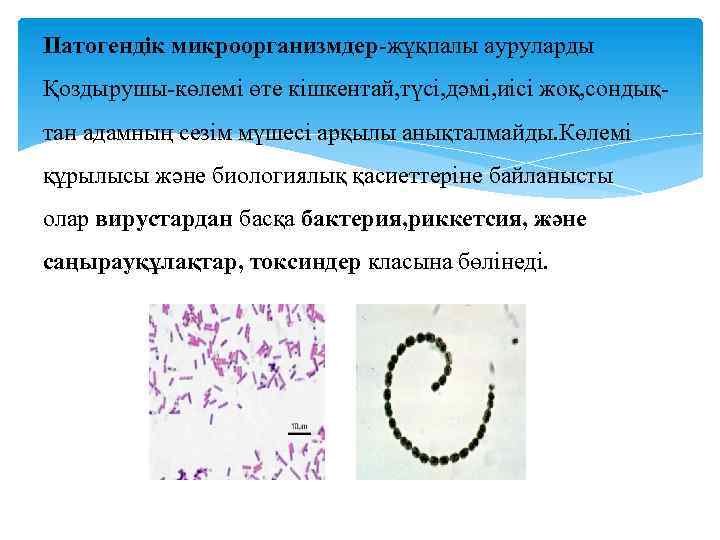 Патогендік микроорганизмдер-жұқпалы ауруларды Қоздырушы-көлемі өте кішкентай, түсі, дәмі, иісі жоқ, сондықтан адамның сезім мүшесі