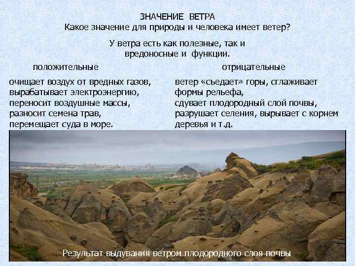 ЗНАЧЕНИЕ ВЕТРА Какое значение для природы и человека имеет ветер? положительные У ветра есть