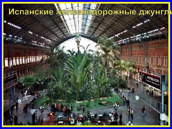 Испанские железнодорожные джунгли 