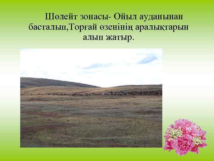 Шөлейт зонасы- Ойыл ауданынан басталып, Торғай өзенінің аралықтарын алып жатыр. 