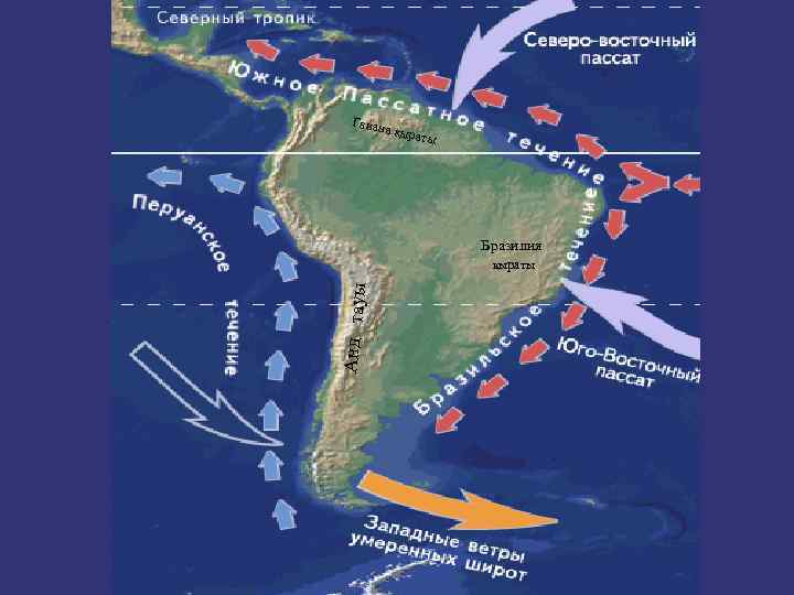Гвиан а қыра ты Бразилия Анд тауы қыраты 