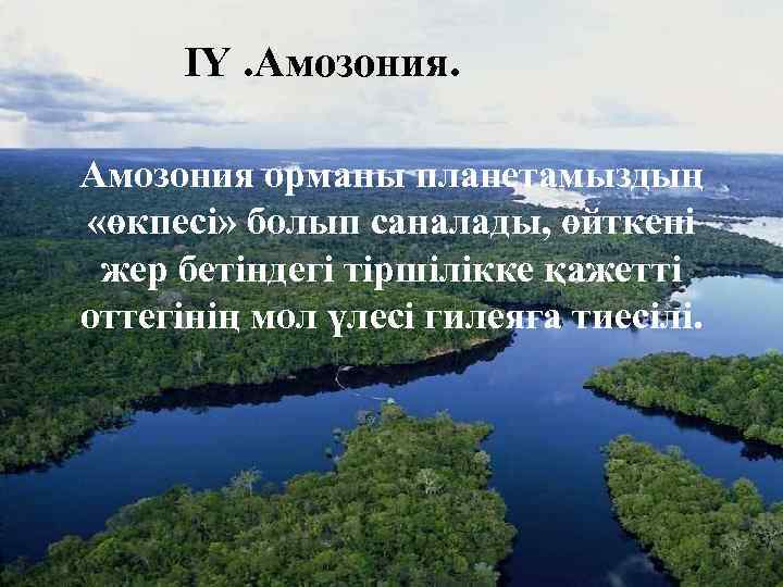 ІҮ. Амозония орманы планетамыздың «өкпесі» болып саналады, өйткені жер бетіндегі тіршілікке қажетті оттегінің мол