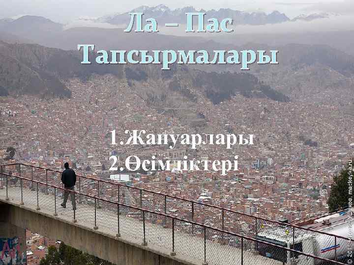 Ла – Пас Тапсырмалары 1. Жануарлары 2. Өсімдіктері 