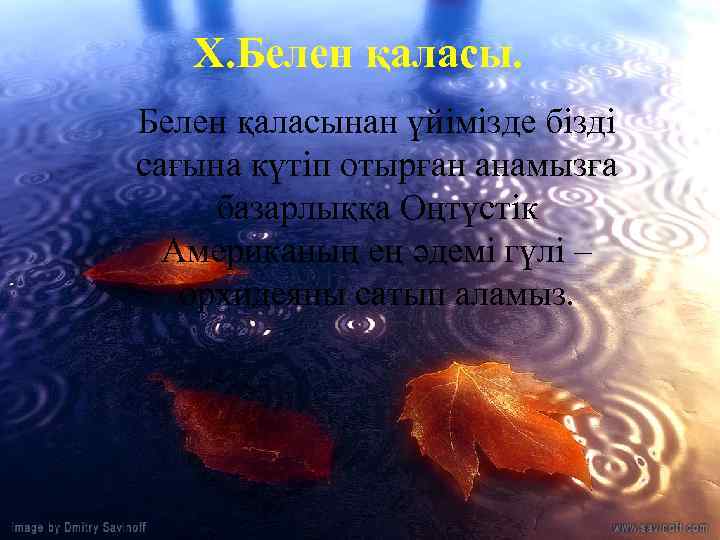 Х. Белен қаласынан үйімізде бізді сағына күтіп отырған анамызға базарлыққа Оңтүстік Американың ең әдемі