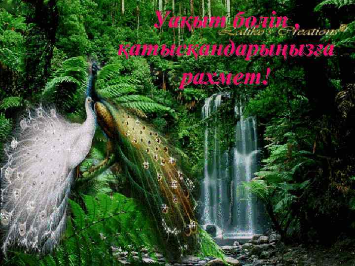 Уақыт бөліп , қатысқандарыңызға рахмет! 