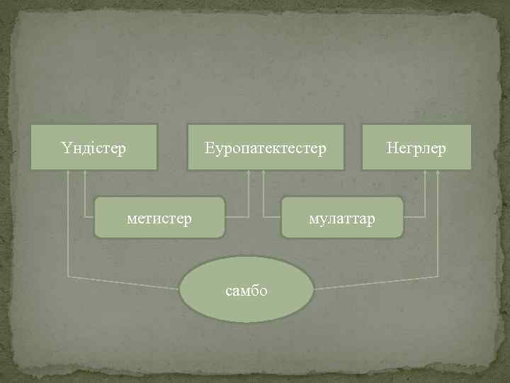 Үндістер Еуропатектестер метистер мулаттар самбо Негрлер 