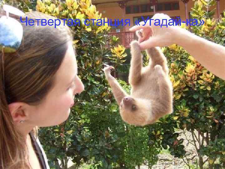 Четвертая станция «Угадай-ка» 