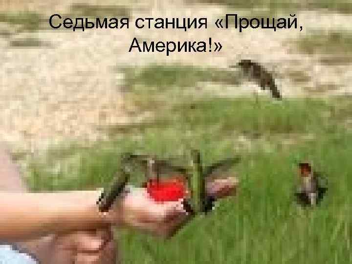 Седьмая станция «Прощай, Америка!» 
