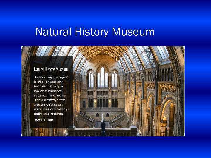 Natural History Museum 
