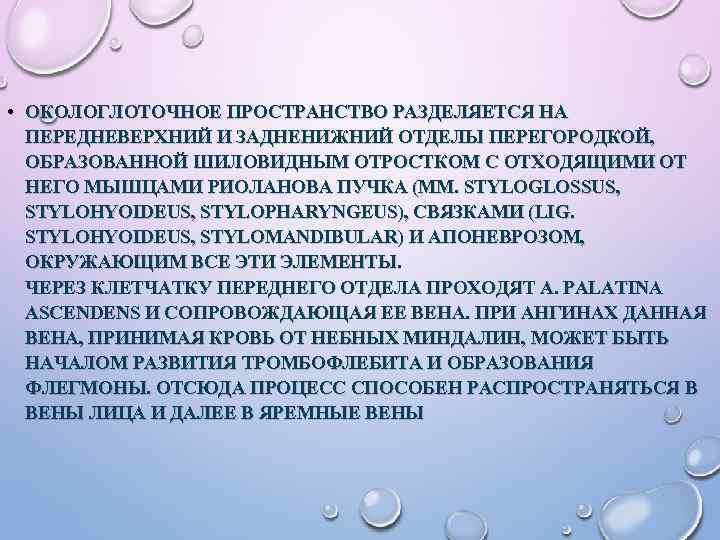  • ОКОЛОГЛОТОЧНОЕ ПРОСТРАНСТВО РАЗДЕЛЯЕТСЯ НА ПЕРЕДНЕВЕРХНИЙ И ЗАДНЕНИЖНИЙ ОТДЕЛЫ ПЕРЕГОРОДКОЙ, ОБРАЗОВАННОЙ ШИЛОВИДНЫМ ОТРОСТКОМ