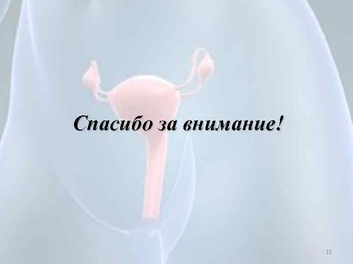 Спасибо за внимание! 12 