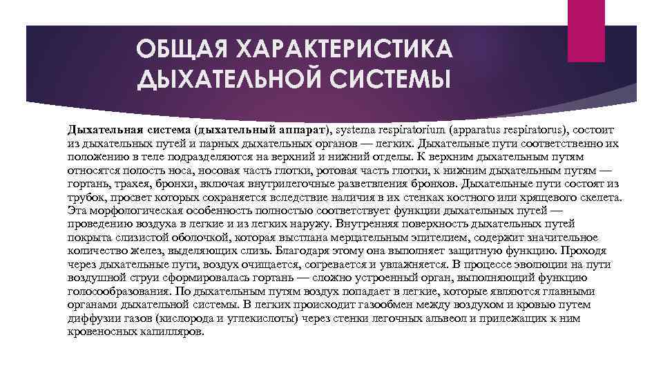 ОБЩАЯ ХАРАКТЕРИСТИКА ДЫХАТЕЛЬНОЙ СИСТЕМЫ Дыхательная система (дыхательный аппарат), systema respiratorium (apparatus respiratorus), состоит из
