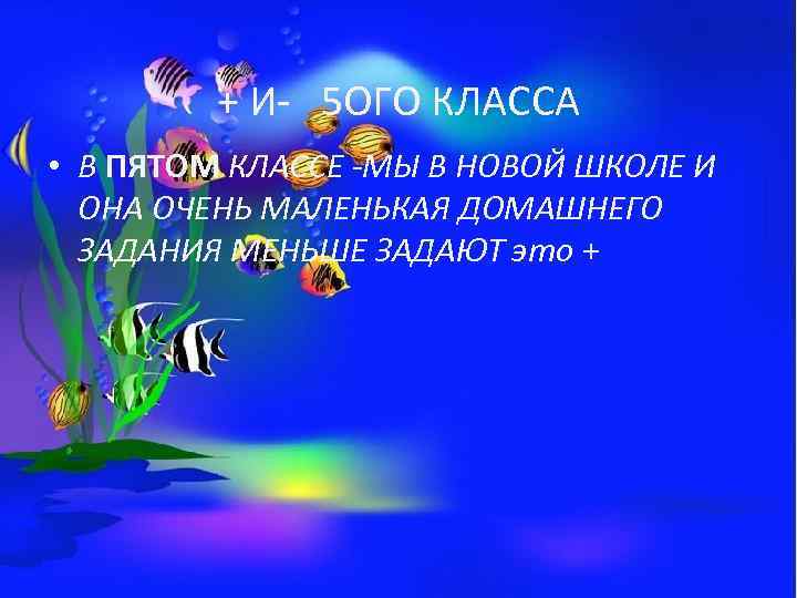 + И- 5 ОГО КЛАССА • В ПЯТОМ КЛАССЕ -МЫ В НОВОЙ ШКОЛЕ И