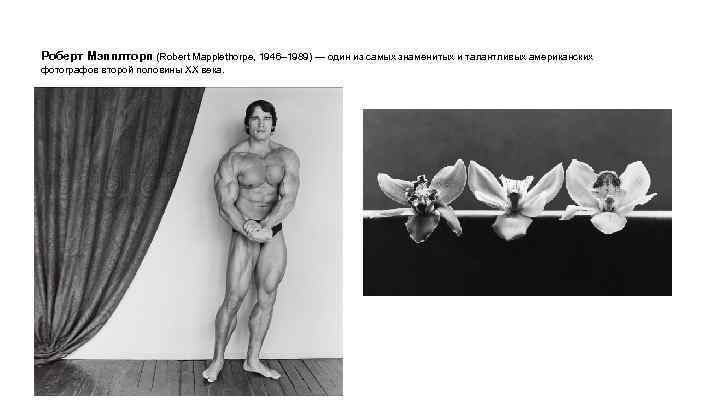 Роберт Мэпплторп (Robert Mapplethorpe, 1946– 1989) — один из самых знаменитых и талантливых американских