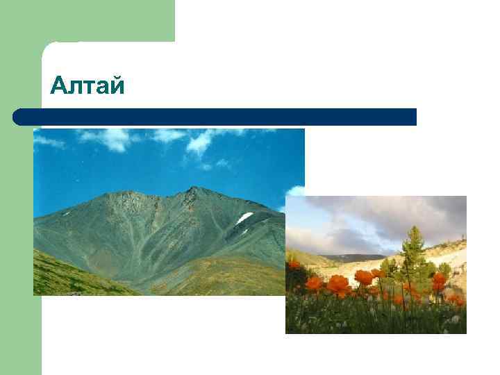 Алтай 