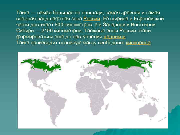 Тайга — самая большая по площади, самая древняя и самая снежная ландшафтная зона России.
