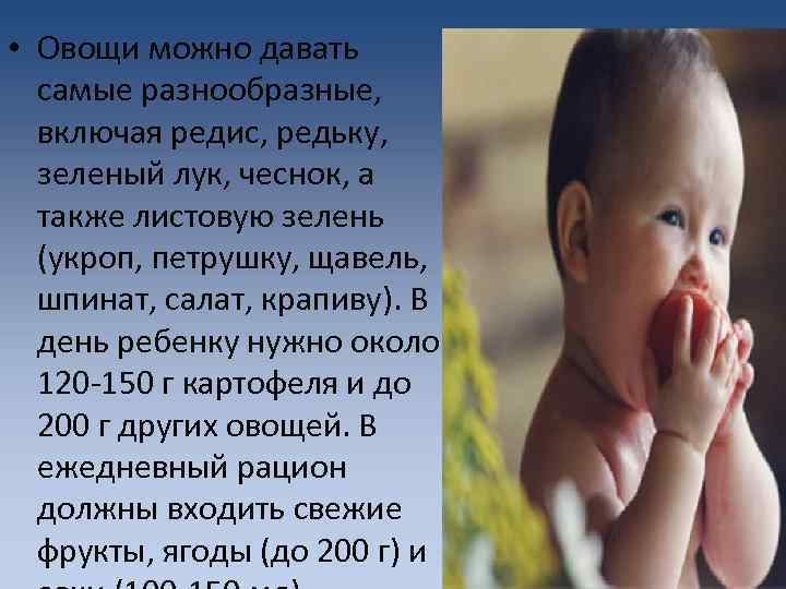  • Овощи можно давать самые разнообразные, включая редис, редьку, зеленый лук, чеснок, а