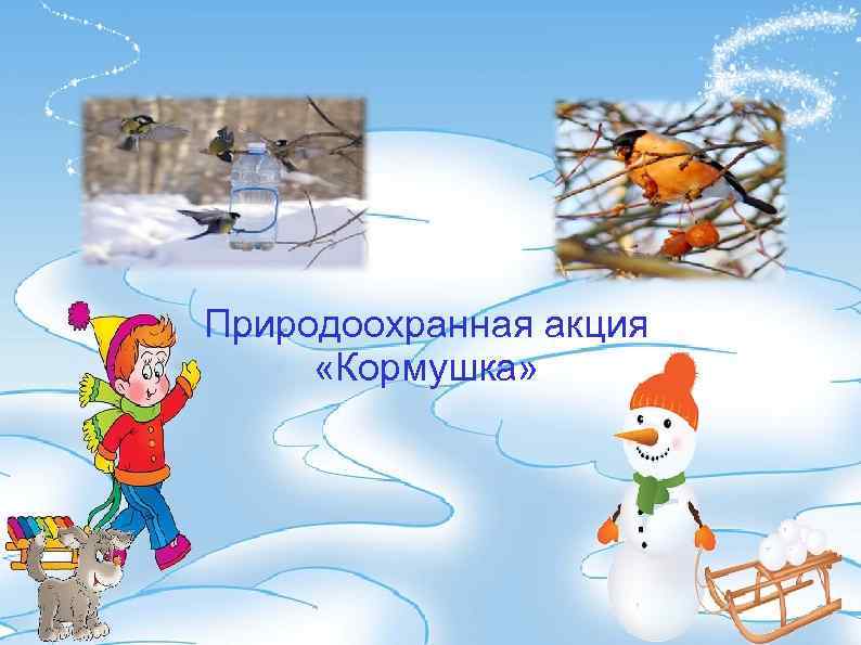 Природоохранная акция «Кормушка» 