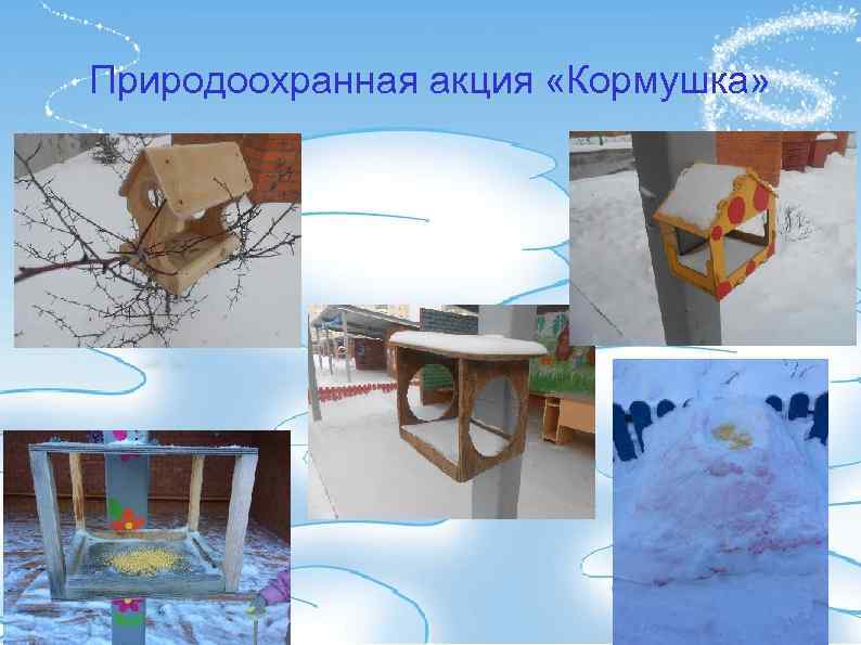 Природоохранная акция «Кормушка» 