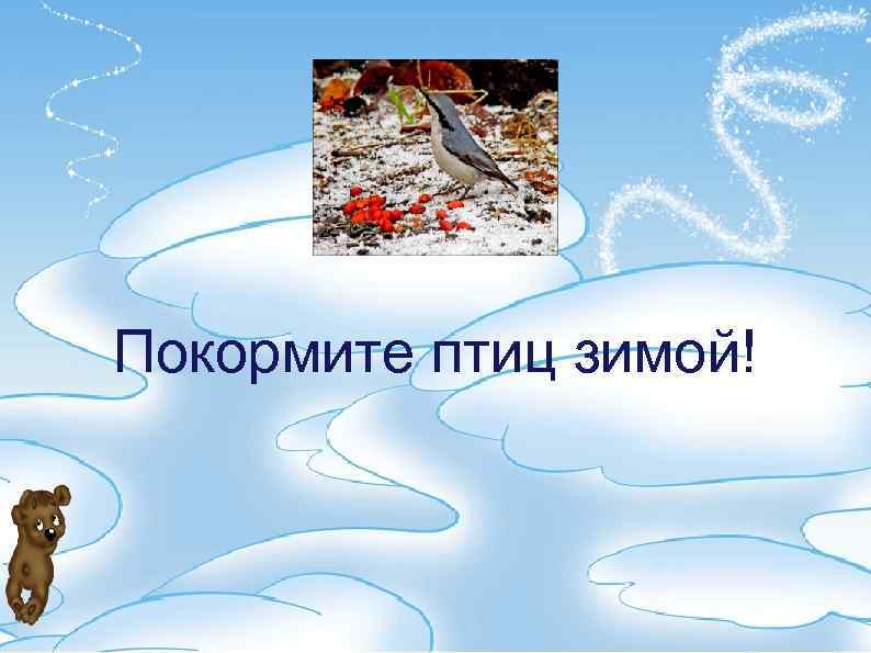 Покормите птиц зимой! 