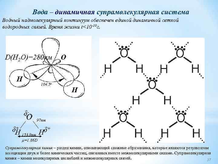 Вода – динамичная супрамолекулярная система Водный надмолекулярный континуум обеспечен единой динамичной сеткой водородных связей.