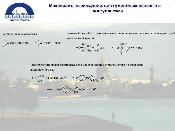 Механизмы взаимодействия гуминовых веществ с коагулянтами 