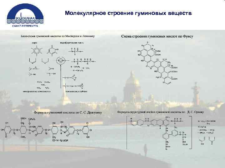 Молекулярное строение гуминовых веществ 