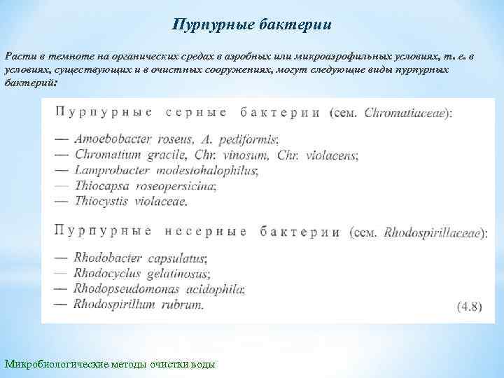 Пурпурные бактерии Расти в темноте на органических средах в аэробных или микроаэрофильных условиях, т.