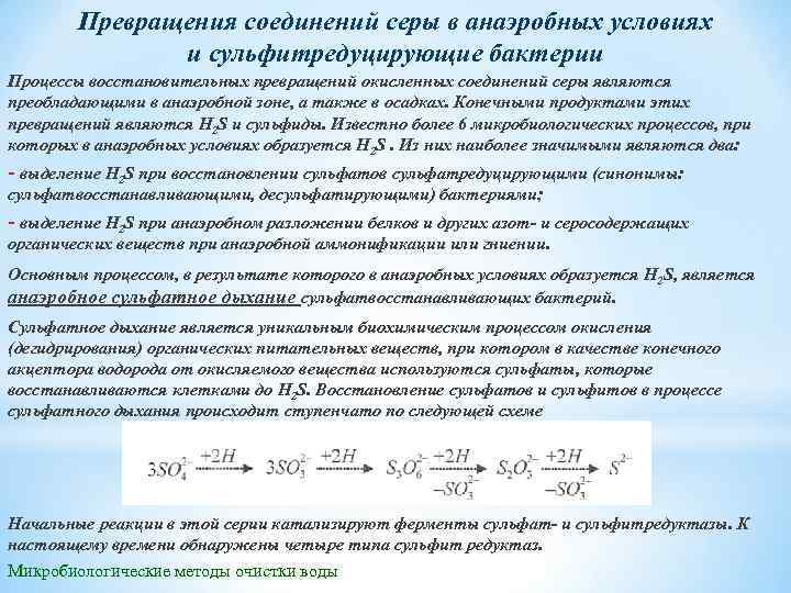 Превращения соединений серы в анаэробных условиях и сульфитредуцирующие бактерии Процессы восстановительных превращений окисленных соединений