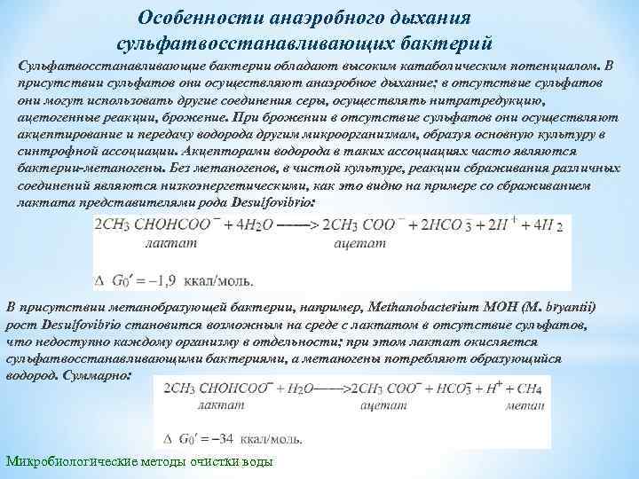 Особенности анаэробного дыхания сульфатвосстанавливающих бактерий Сульфатвосстанавливающие бактерии обладают высоким катаболическим потенциалом. В присутствии сульфатов