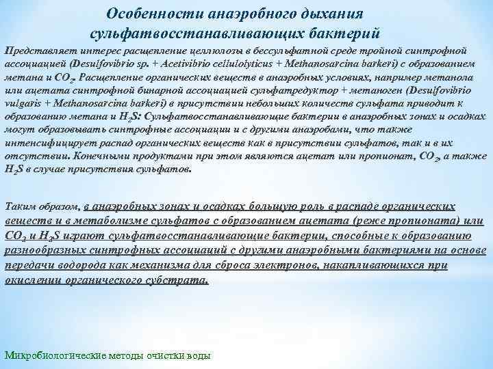 Особенности анаэробного дыхания сульфатвосстанавливающих бактерий Представляет интерес расщепление целлюлозы в бессульфатной среде тройной синтрофной