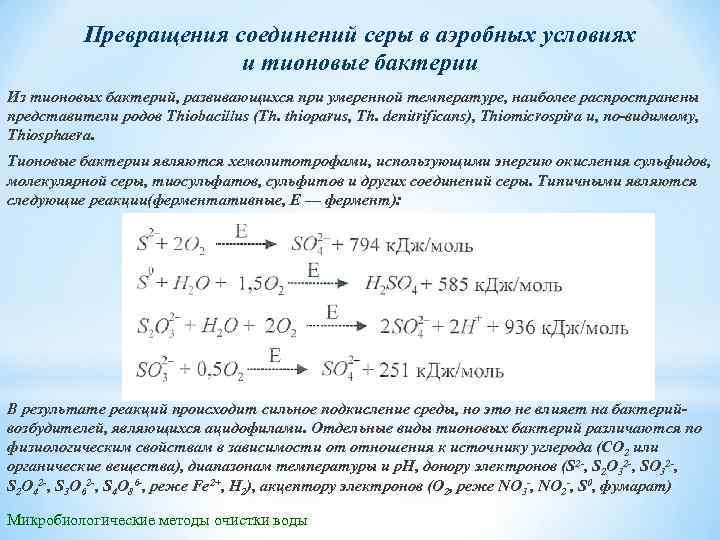 Превращения соединений серы в аэробных условиях и тионовые бактерии Из тионовых бактерий, развивающихся при