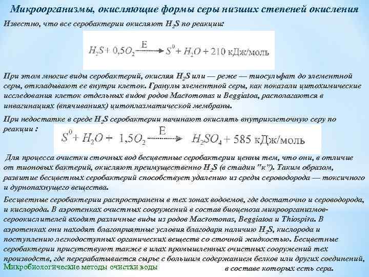 Микроорганизмы, окисляющие формы серы низших степеней окисления Известно, что все серобактерии окисляют H 2