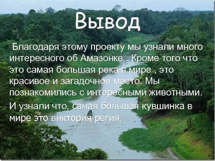 Описание амазонки по плану описание реки