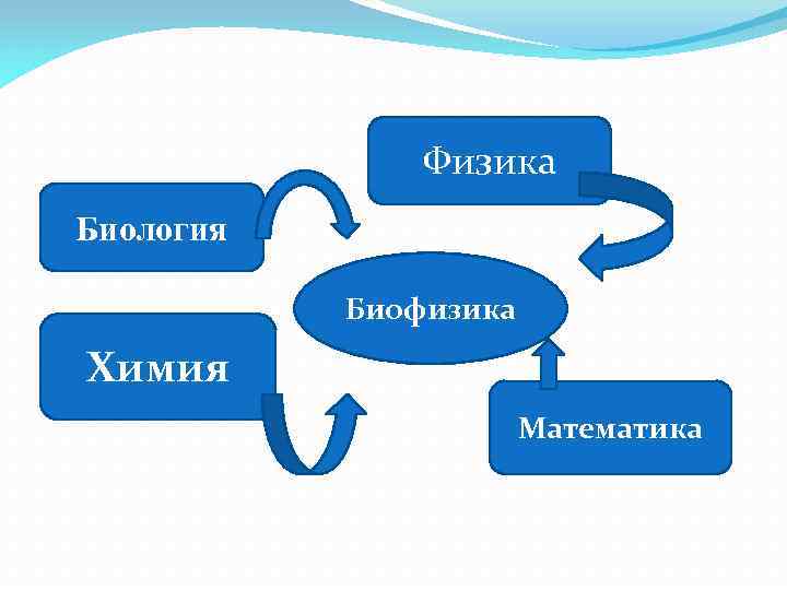 Физика Биология Биофизика Химия Математика 
