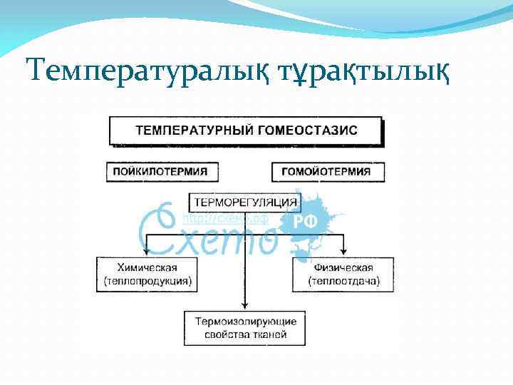 Температуралық тұрақтылық 