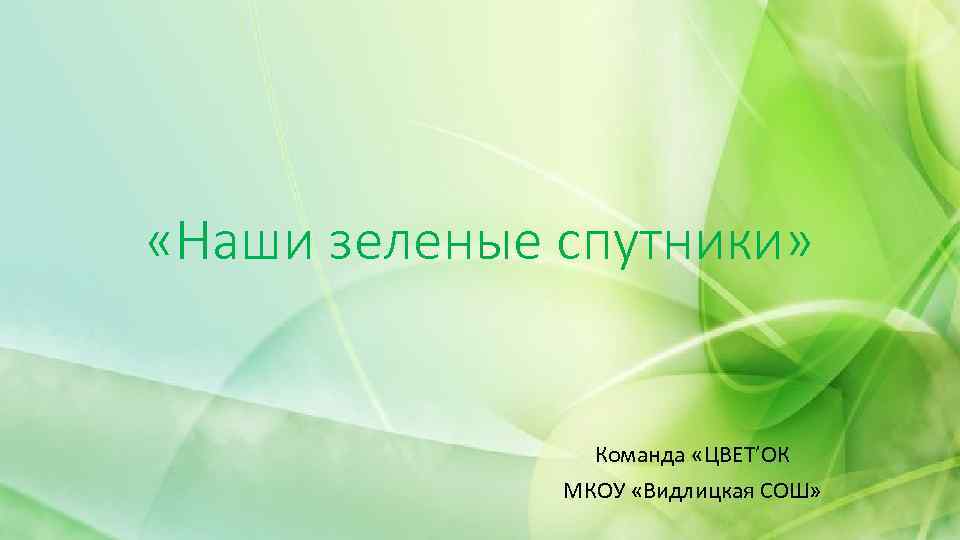  «Наши зеленые спутники» Команда «ЦВЕТ’ОК МКОУ «Видлицкая СОШ» 