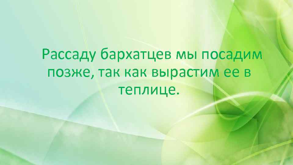 Рассаду бархатцев мы посадим позже, так как вырастим ее в теплице. 