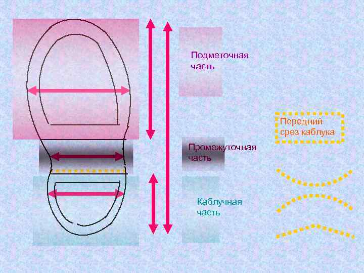 Обозначьте на рисунке элементы подошвенной части обуви и назовите их