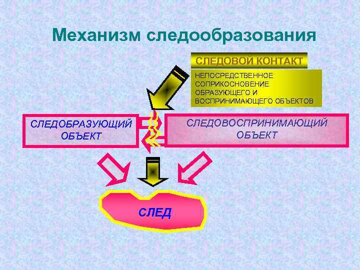 Виды следов в криминалистике. Механизм следообразования. Механизм следообразования в криминалистике. Механизм следообразования схема. Механизм следообразования следов рук.