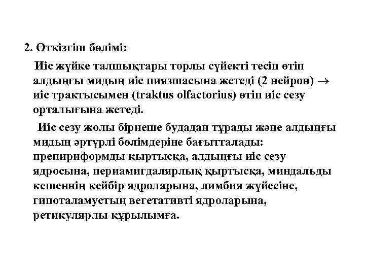 2. Өткізгіш бөлімі: Иіс жүйке талшықтары торлы сүйекті тесіп өтіп алдыңғы мидың иіс пиязшасына