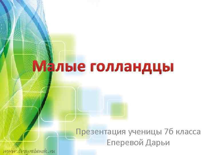 Малые голландцы Презентация ученицы 7 б класса Еперевой Дарьи 