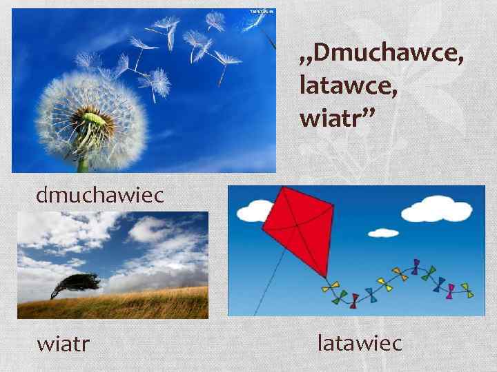 „Dmuchawce, latawce, wiatr” dmuchawiec wiatr latawiec 