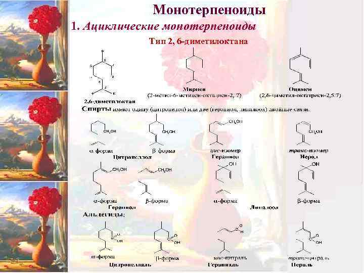 Монотерпеноиды 1. Ациклические монотерпеноиды Тип 2, 6 -диметилоктана 
