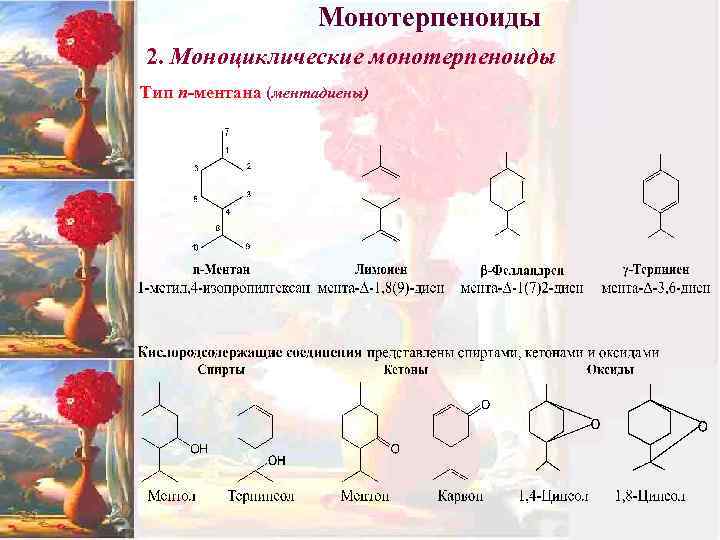 Монотерпеноиды 2. Моноциклические монотерпеноиды Тип п-ментана (ментадиены) 