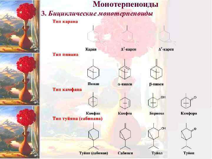 Монотерпеноиды 3. Бициклические монотерпеноиды 