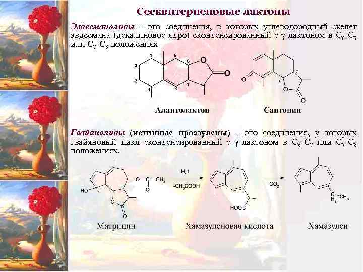 Сесквитерпеновые лактоны Эвдесманолиды – это соединения, в которых углеводородный скелет эвдесмана (декалиновое ядро) сконденсированный