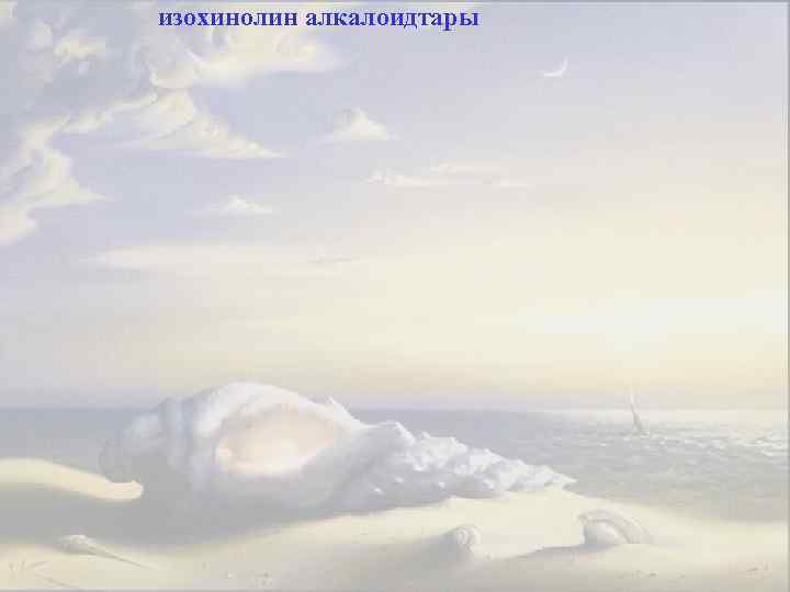 изохинолин алкалоидтары 