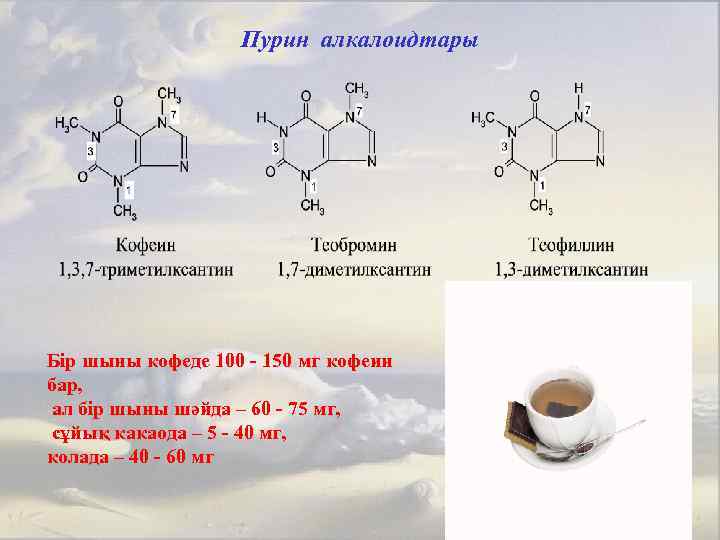 Реклама пурины