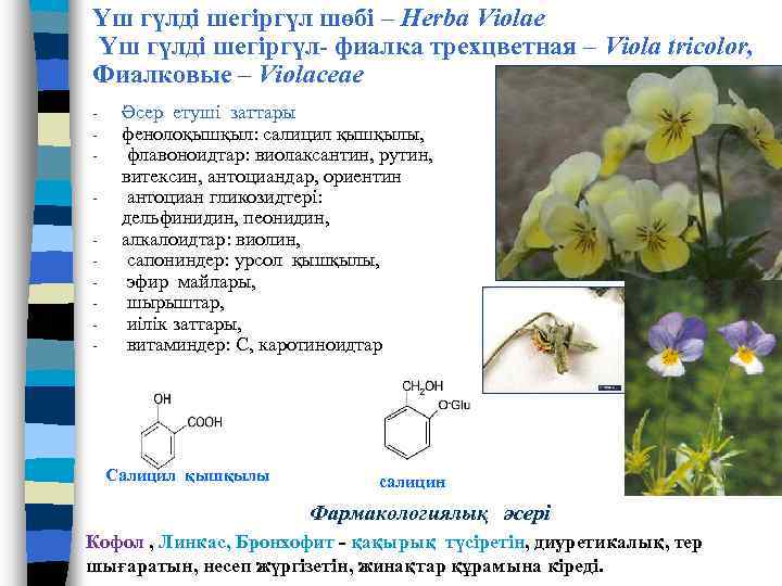 Фиалка диаграмма цветка